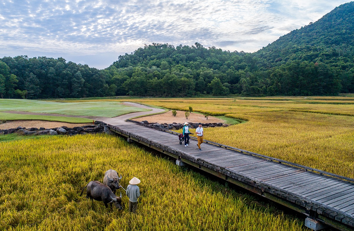 Laguna Lang Co - a golf course with a strong Vietnamese cultural imprint