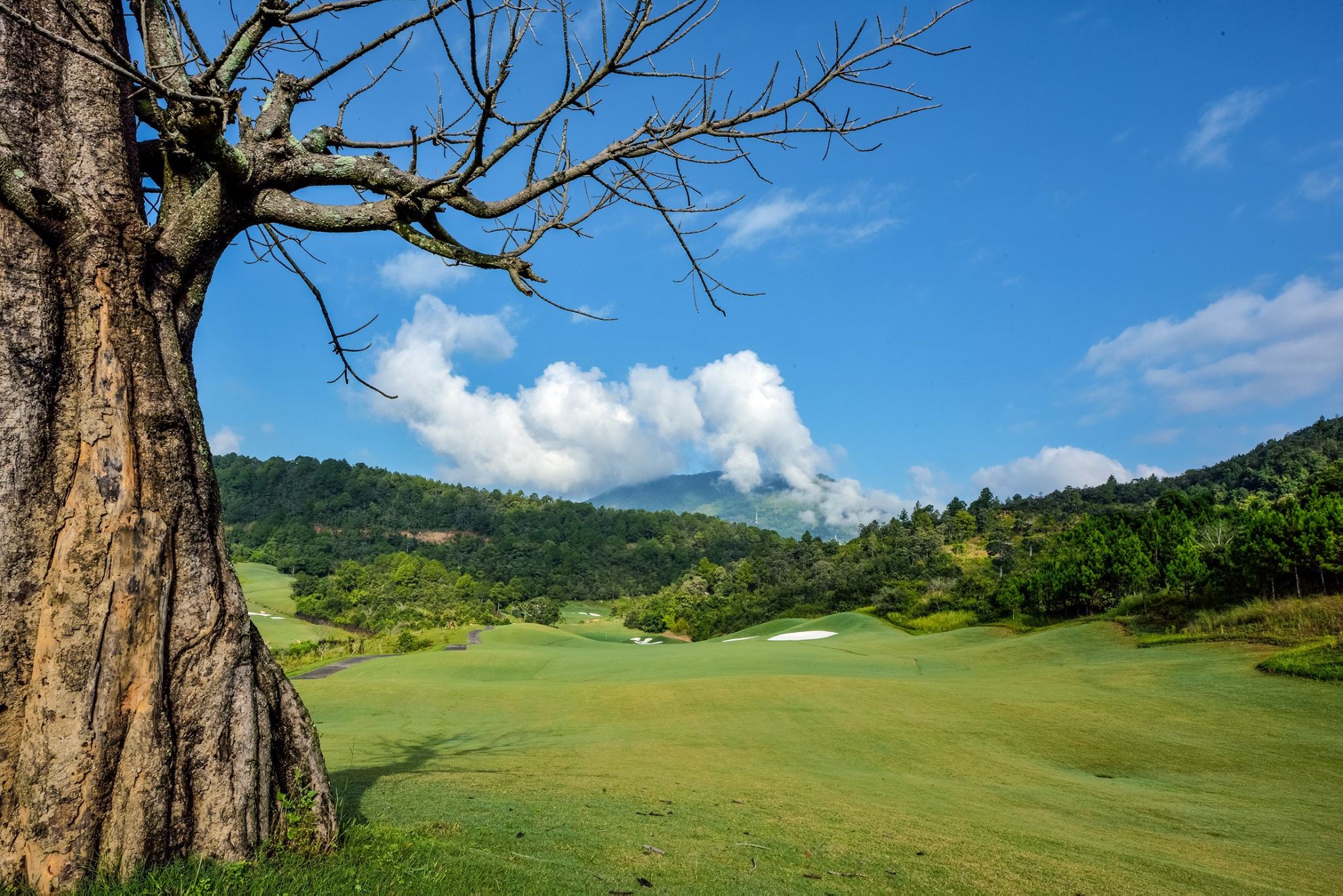 The Dalat at 1200 Golf Club