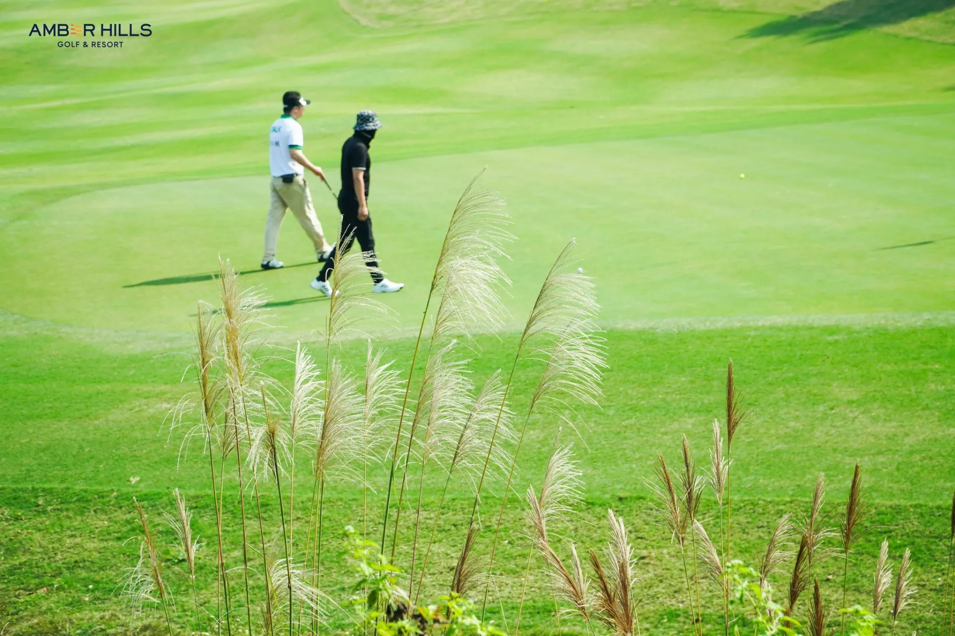 Amber Hill Golf Resort