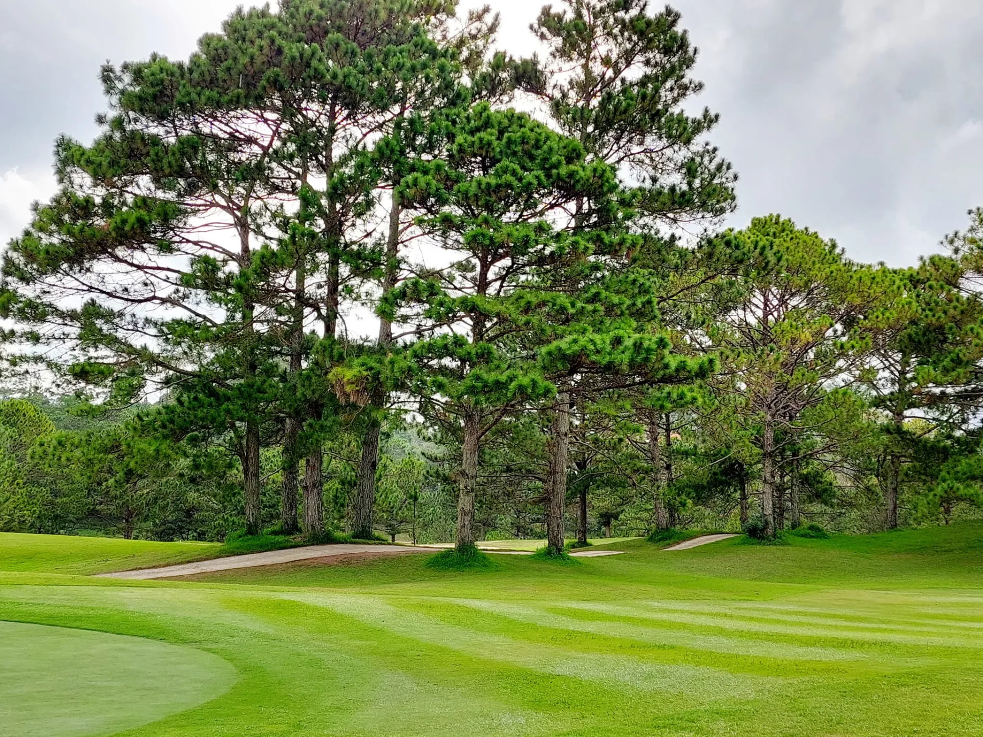 Da Lat Palace Golf Club