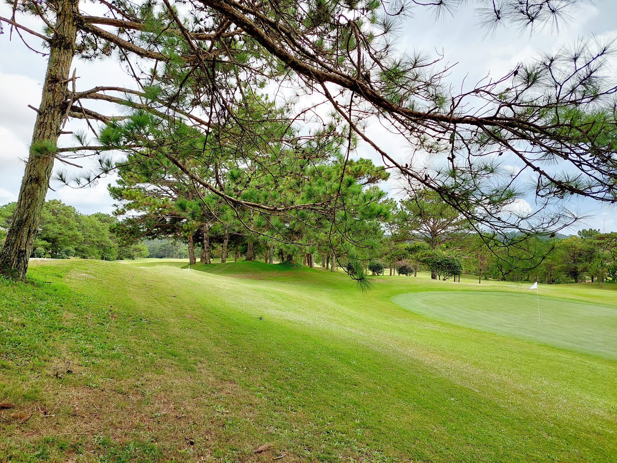 Da Lat Palace Golf Club