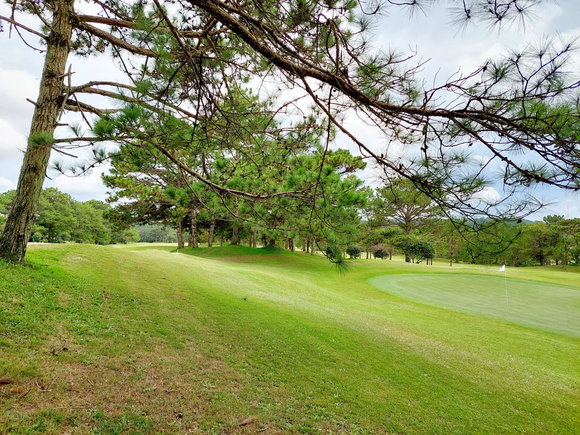 Da Lat Palace Golf Club