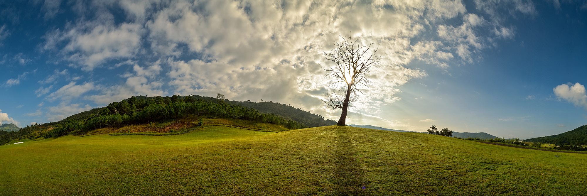 The Dalat at 1200 Golf Club