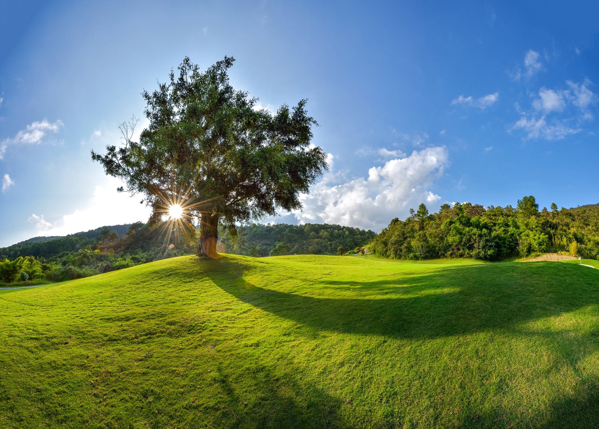 The Dalat at 1200 Golf Club