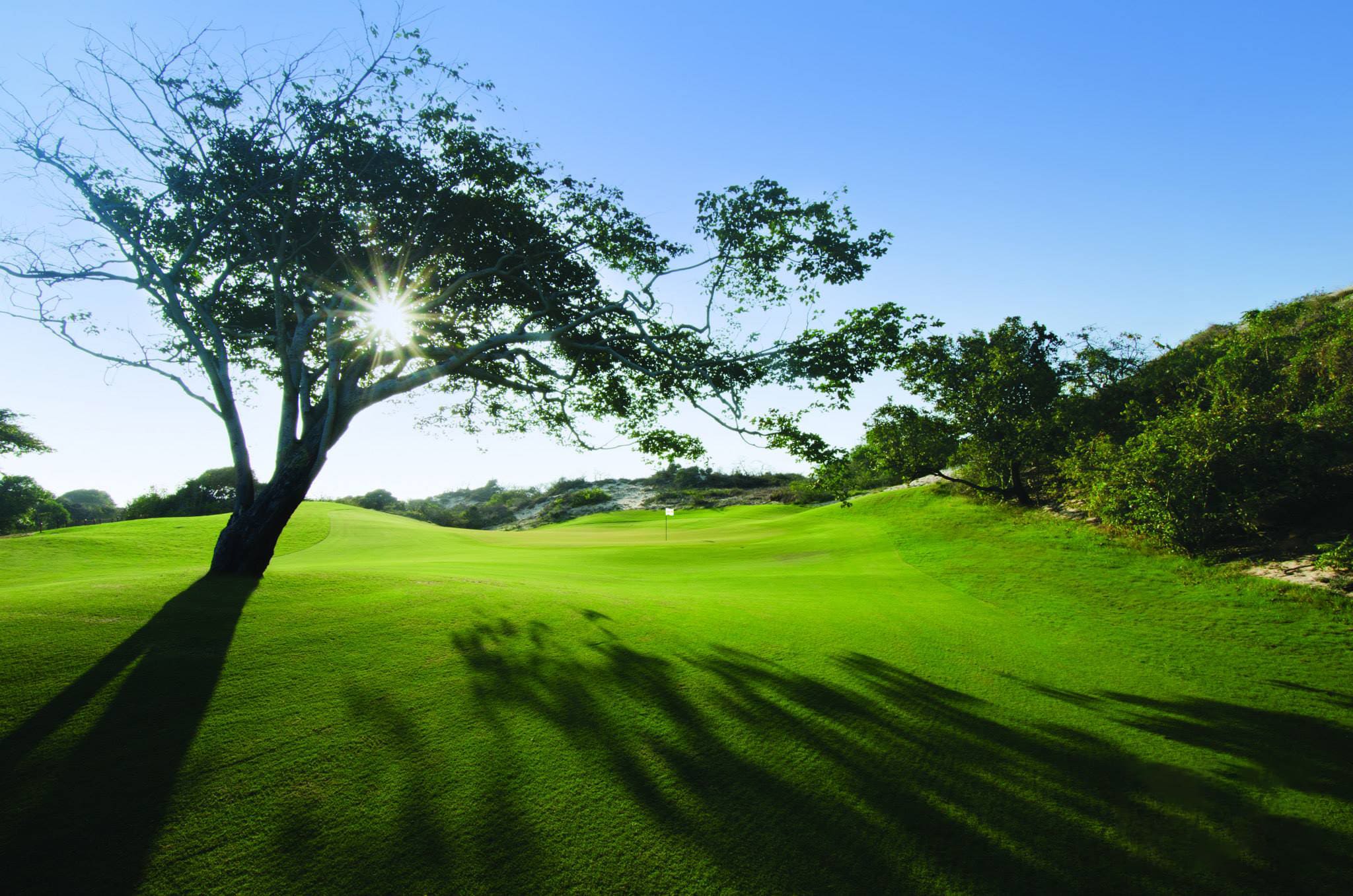 The Bluffs Ho Tram Strip