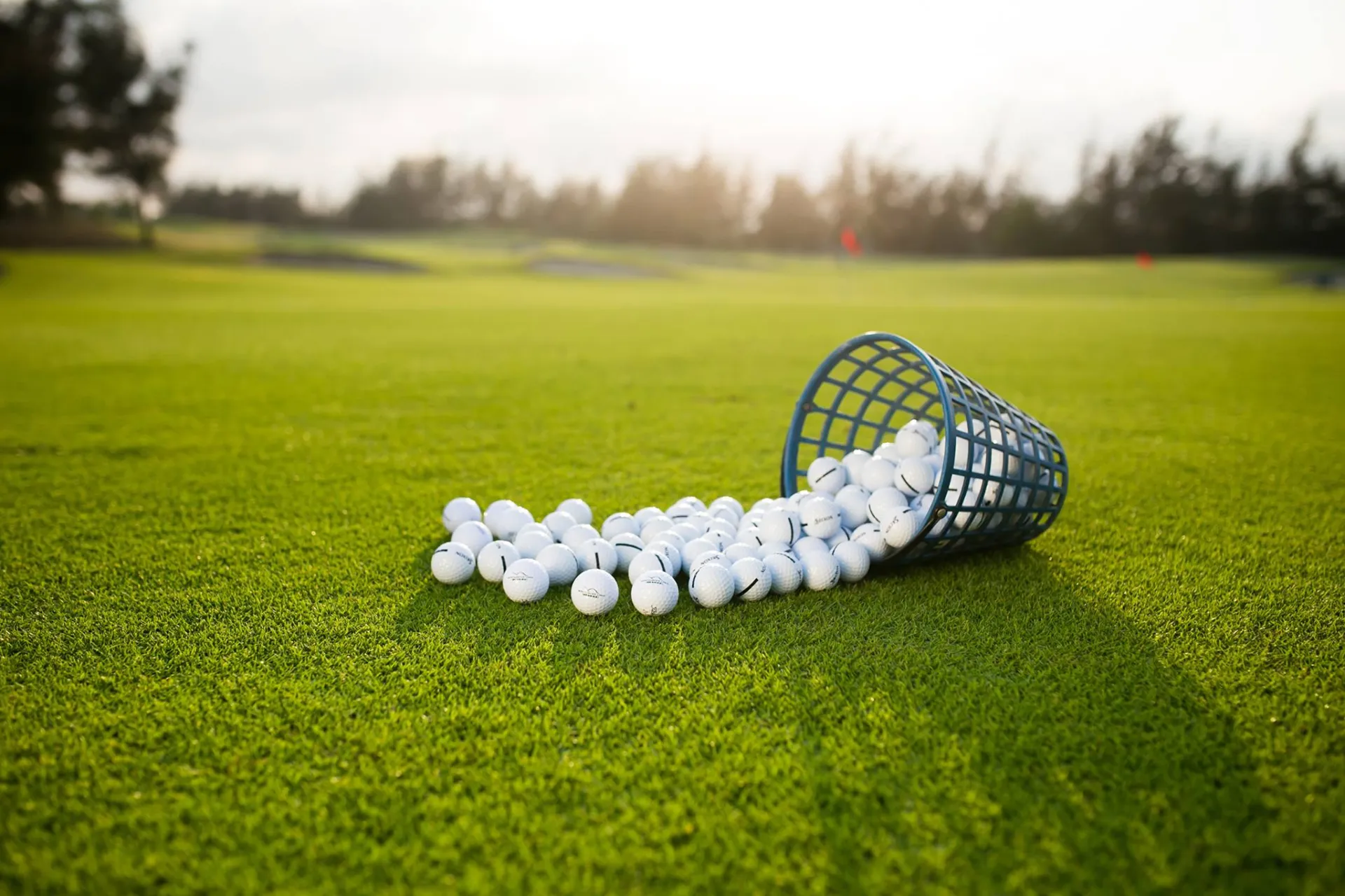Montgomerie Links Golf Club